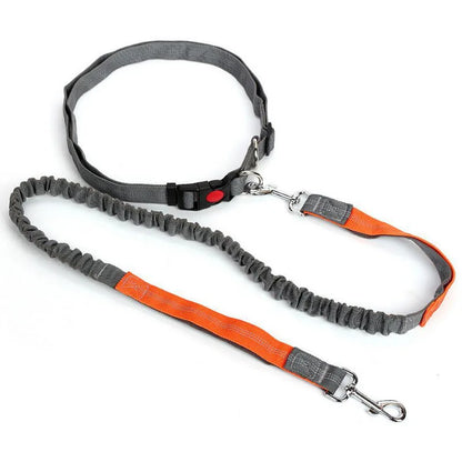 Hand Free Dog Leash Adjustable Dog Leash Waist Belt