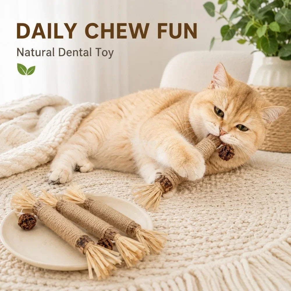 Pet Silvervine Chew Sticks with Raffia Grass Dog Teething Toy