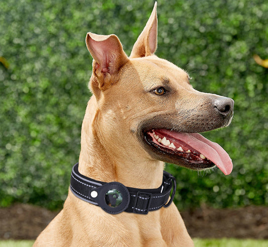 Nylon Adjustable Dog Positioning Collar