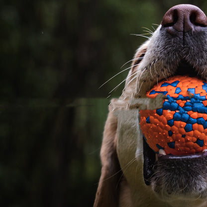 Resistant To Bite And Chew Dog Toy Burst Ball