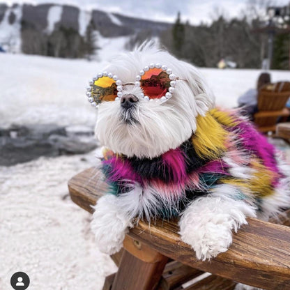 Pet Dog Fashion Pearl Sunglasses