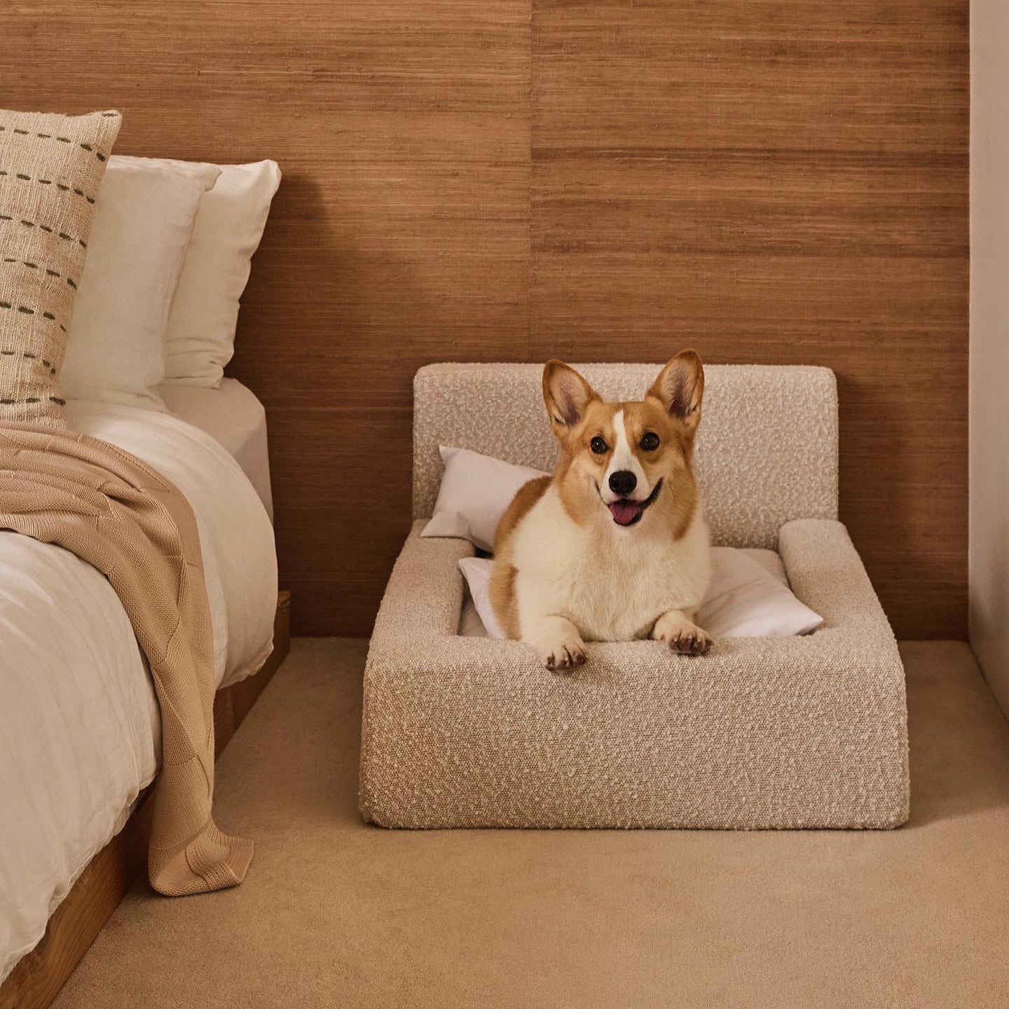 Dog Mat, Movable Rectangular Sponge Cat Bed Backrest Pet Sofa