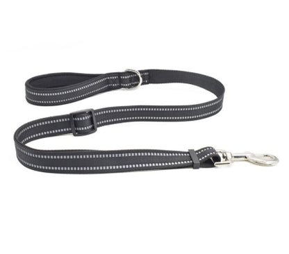 Dog Leash Nylon Leash Assisted Retractable