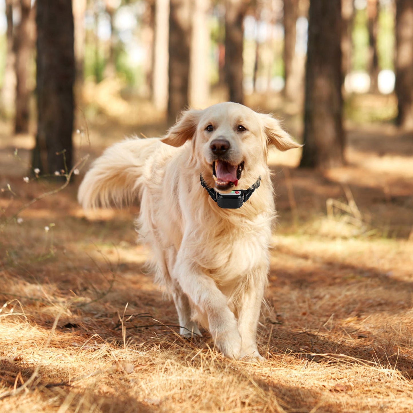 1 Set 990FT Range Dog Wireless Fence Remote Training Collar