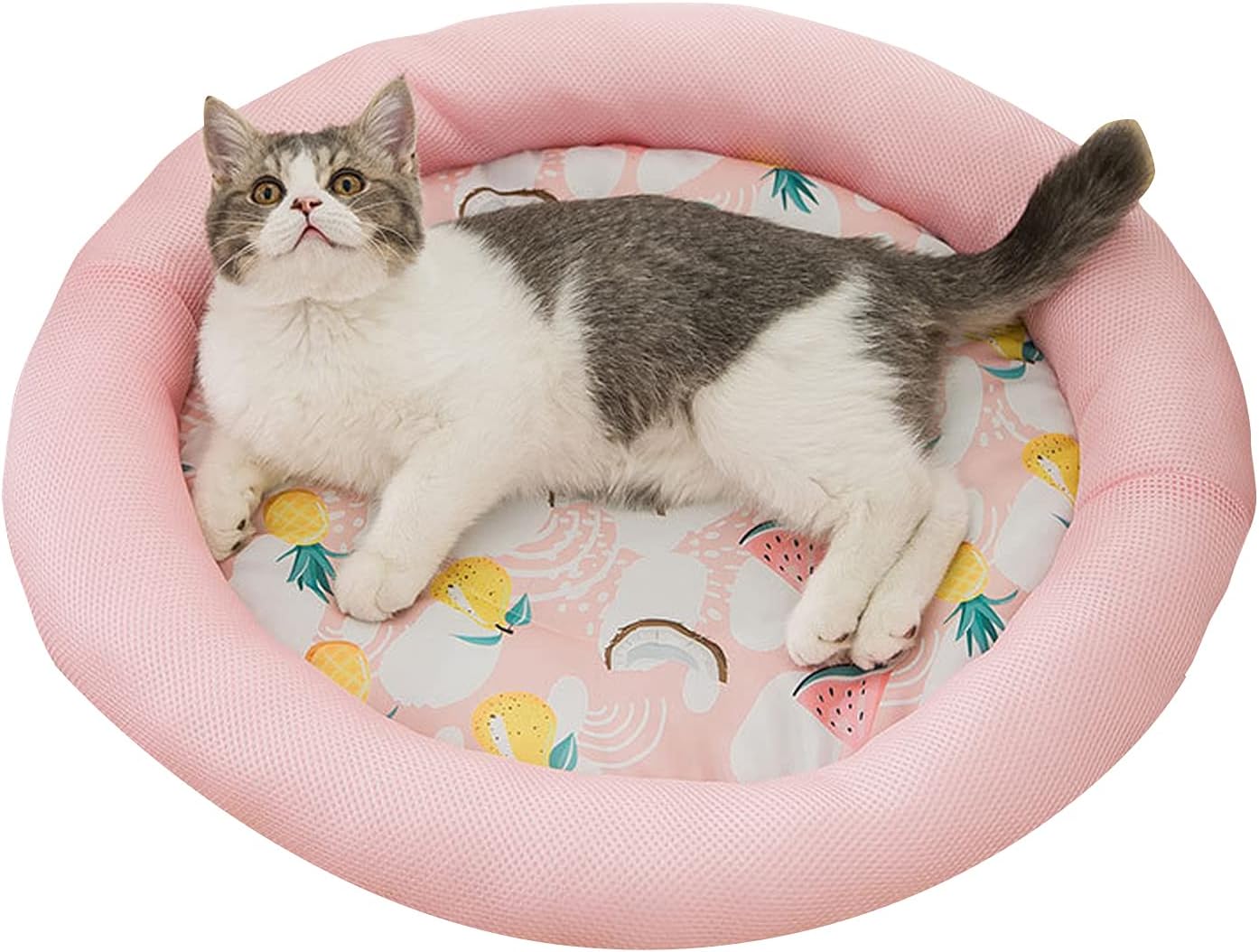 Cooling Dog Bed Soft Summer Ice Pet Pad Cushion