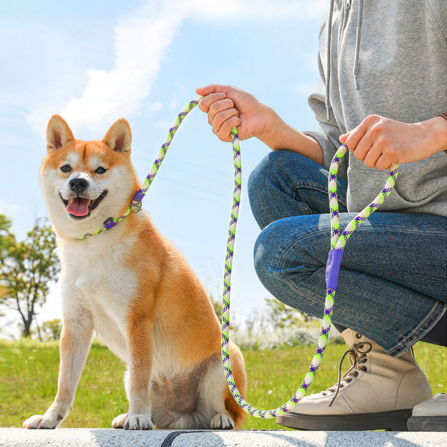 Dog Rope Pet Pulling Rope Puppy Strap Traction Rope