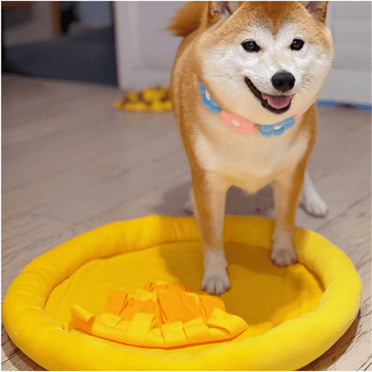 20in Pizza Snuffle Mat