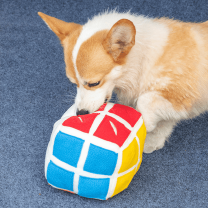 Rubik's Cube Treat Sniffing Dog Toy