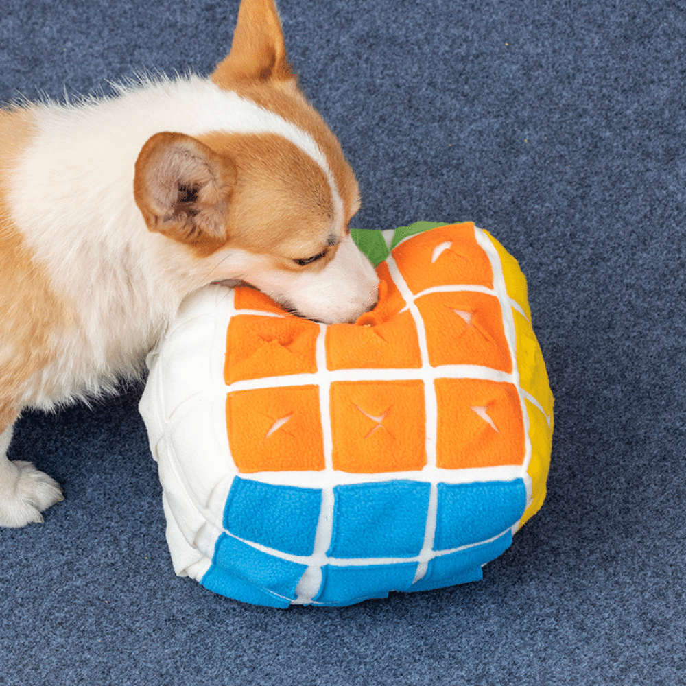 Rubik's Cube Treat Sniffing Dog Toy