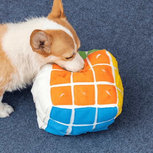 Rubik's Cube Treat Sniffing Dog Toy