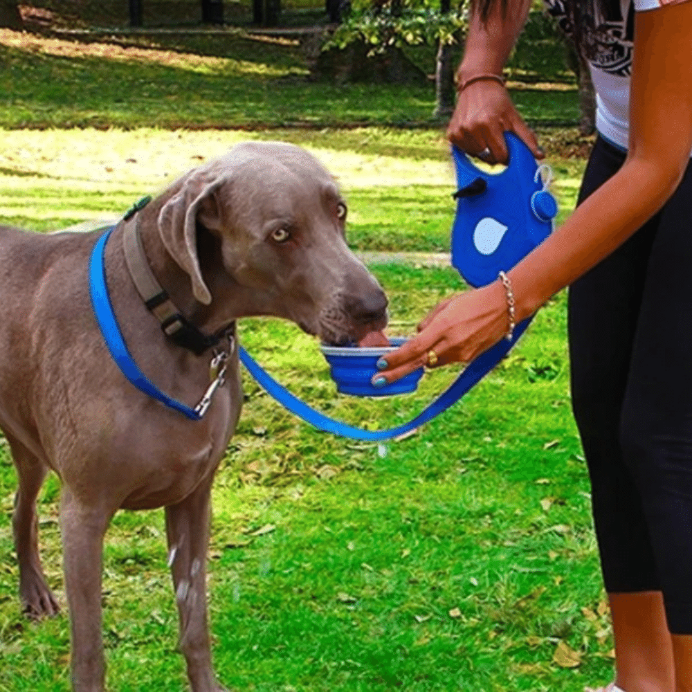 4 in 1 Retractable Dog Leash With Collapsible Bowl