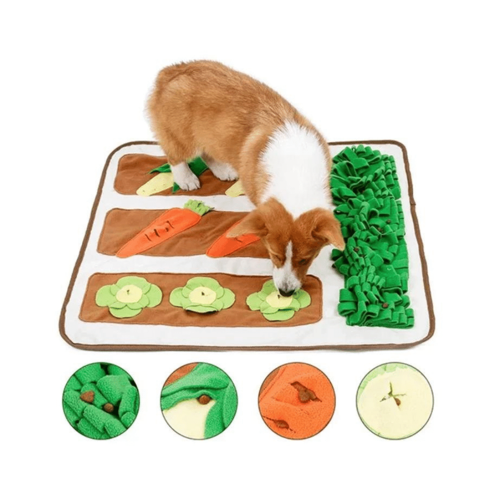 Pet Smelling Mat