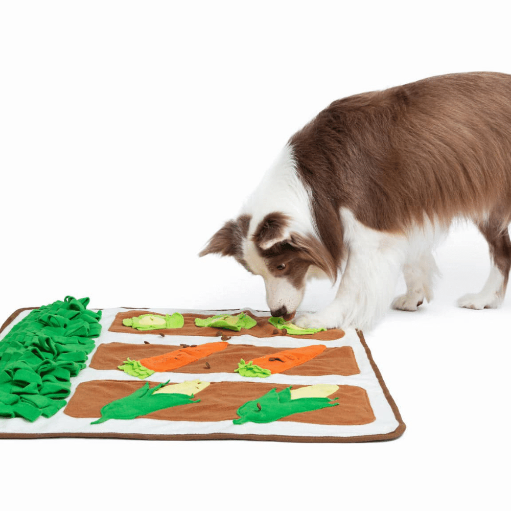 Pet Smelling Mat