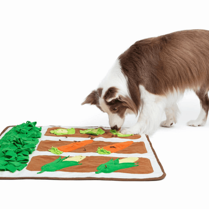 Pet Smelling Mat