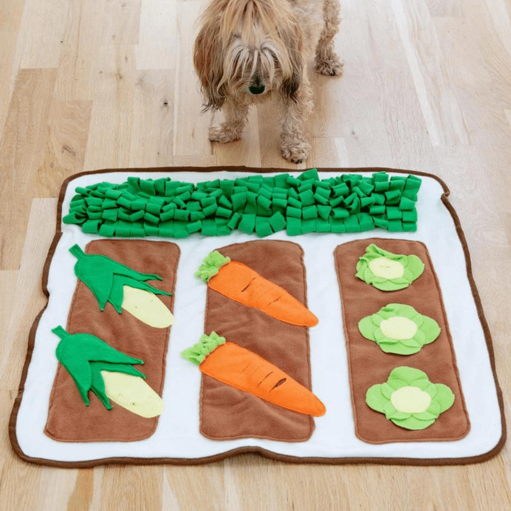 Pet Smelling Mat