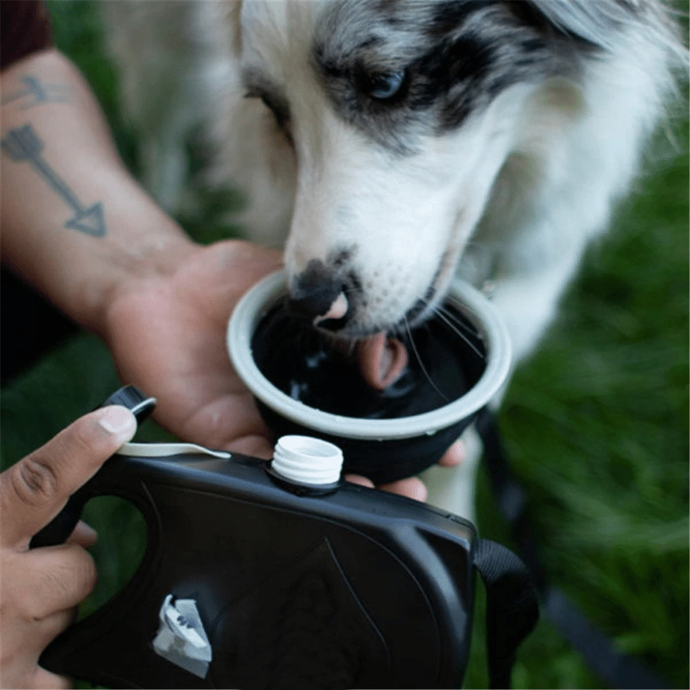 4 in 1 Retractable Dog Leash With Collapsible Bowl