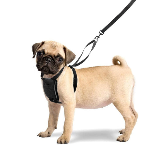 Dog Chest Strap Tactical Vest Double Buckle Leash