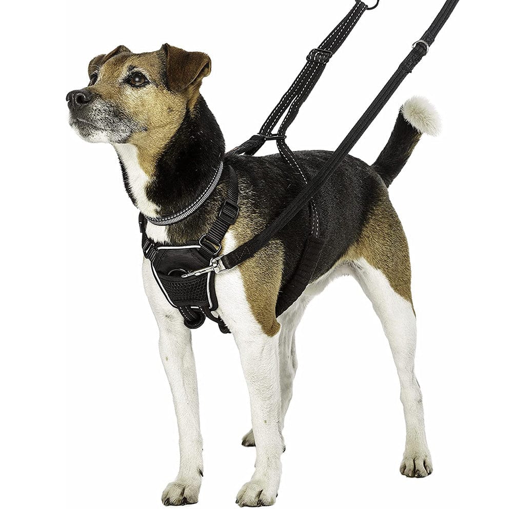 Dog Chest Strap Tactical Vest Double Buckle Leash
