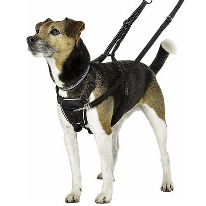 Dog Chest Strap Tactical Vest Double Buckle Leash