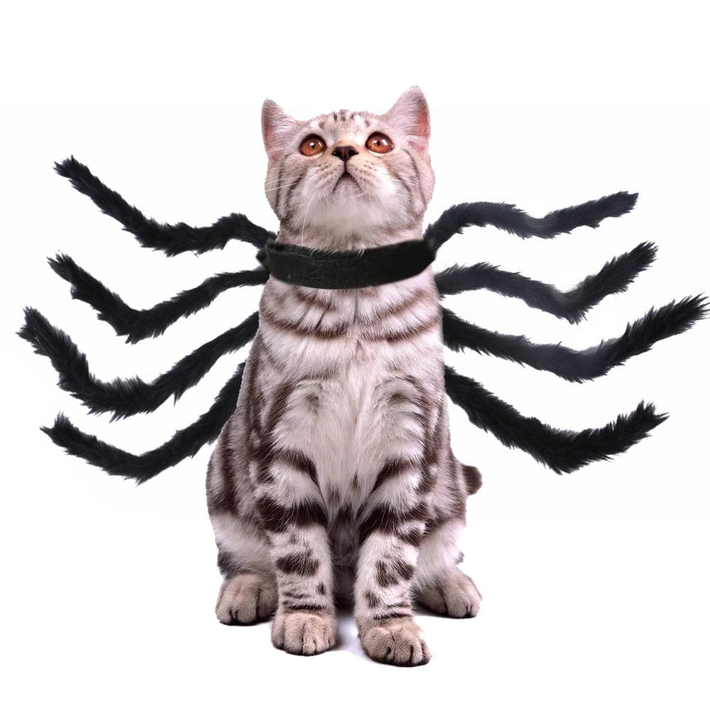 Spider Dog Costume