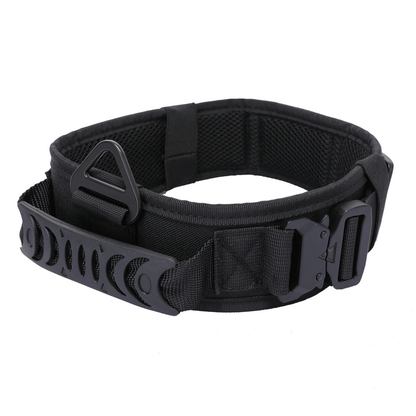 Quick Release Metal Buckle Outdoor Dog Walking Collar