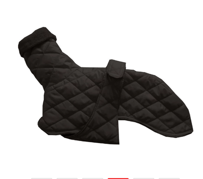 Dog winter warm cotton pure color belt fashion