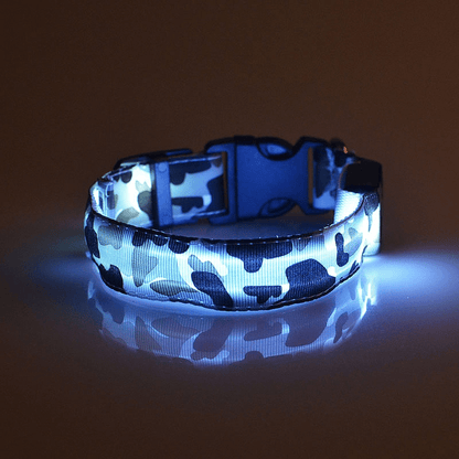 USB Rechargeable LED Flashing Nylon Dog Collar
