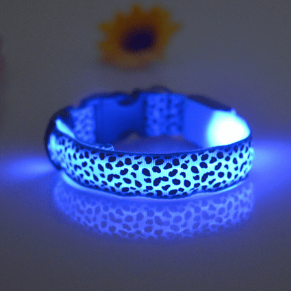 USB Rechargeable LED Flashing Nylon Dog Collar