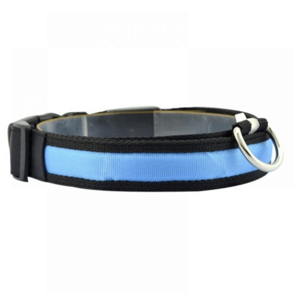 USB Rechargeable LED Flashing Nylon Dog Collar