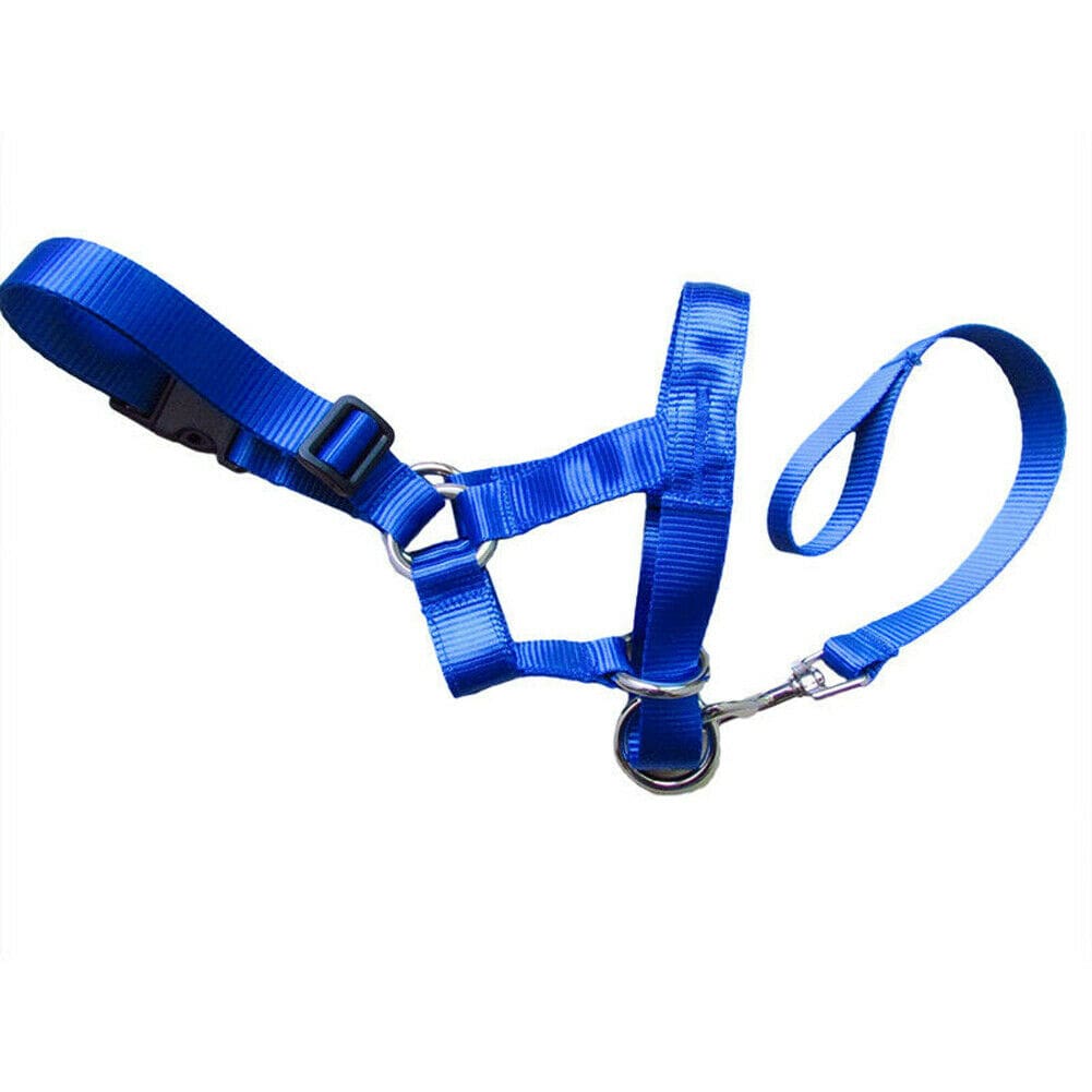 Handheld Leash Dog Muzzle