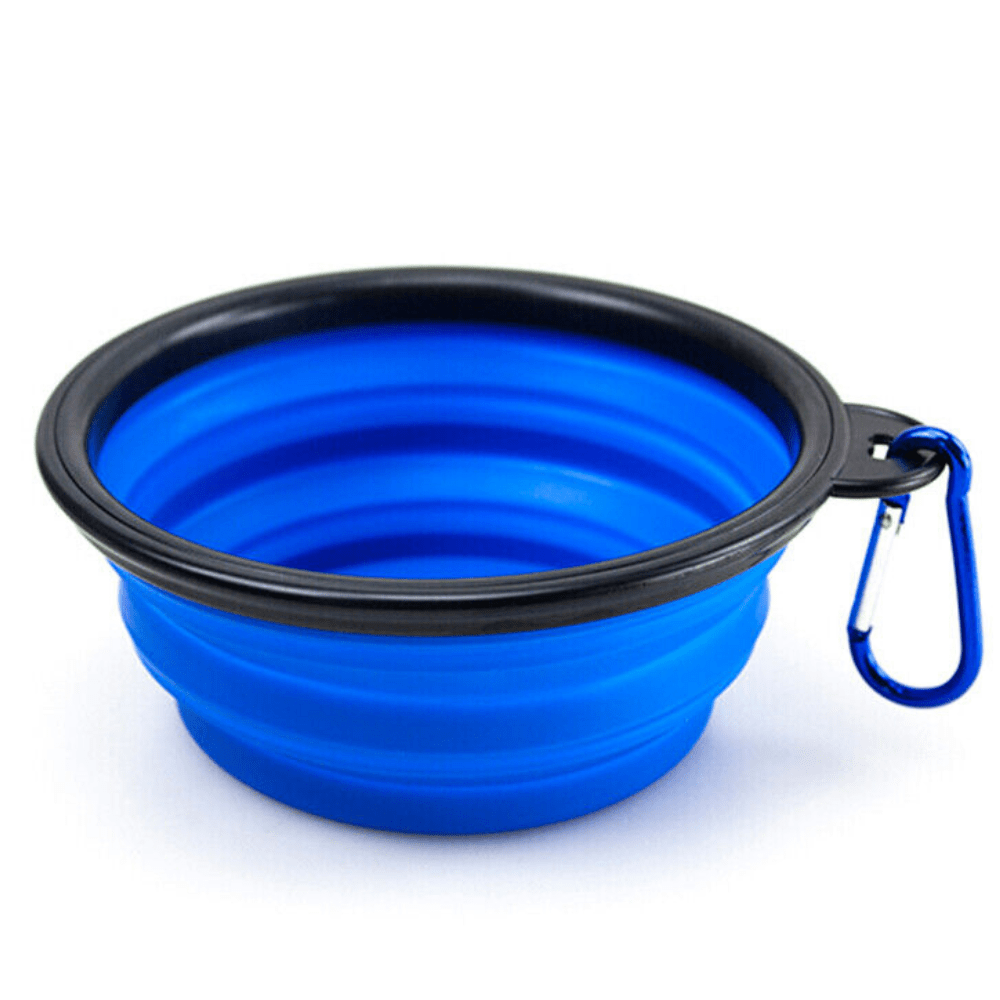 Silicone Collapsible Dog Bowl