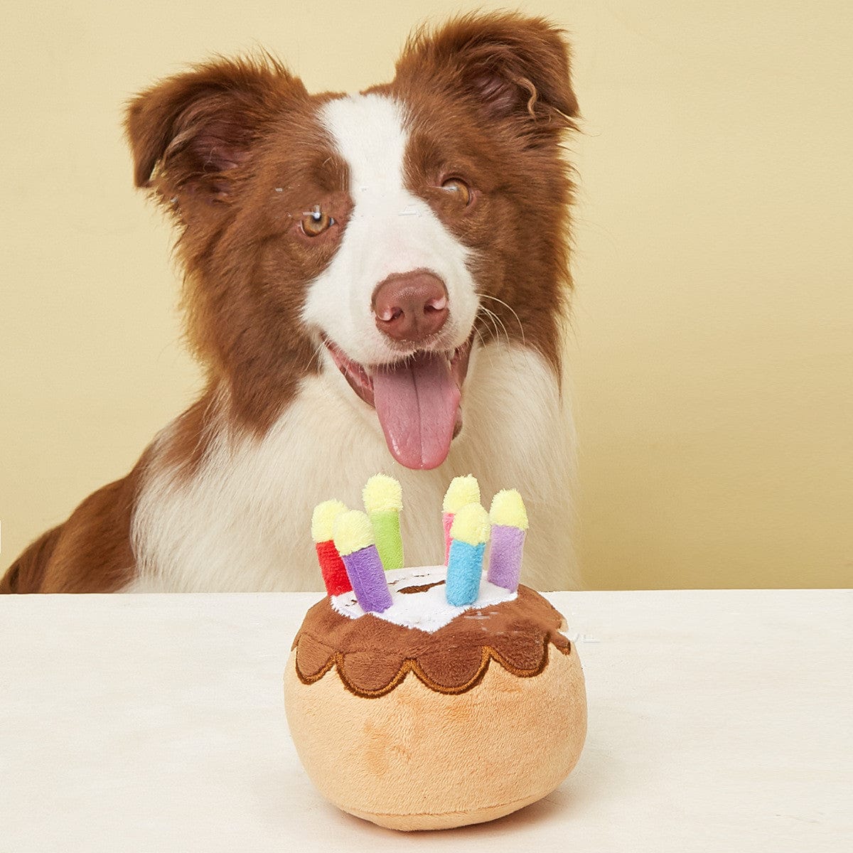 Plush Happy Birthday Cake Dog Squeaky Toy