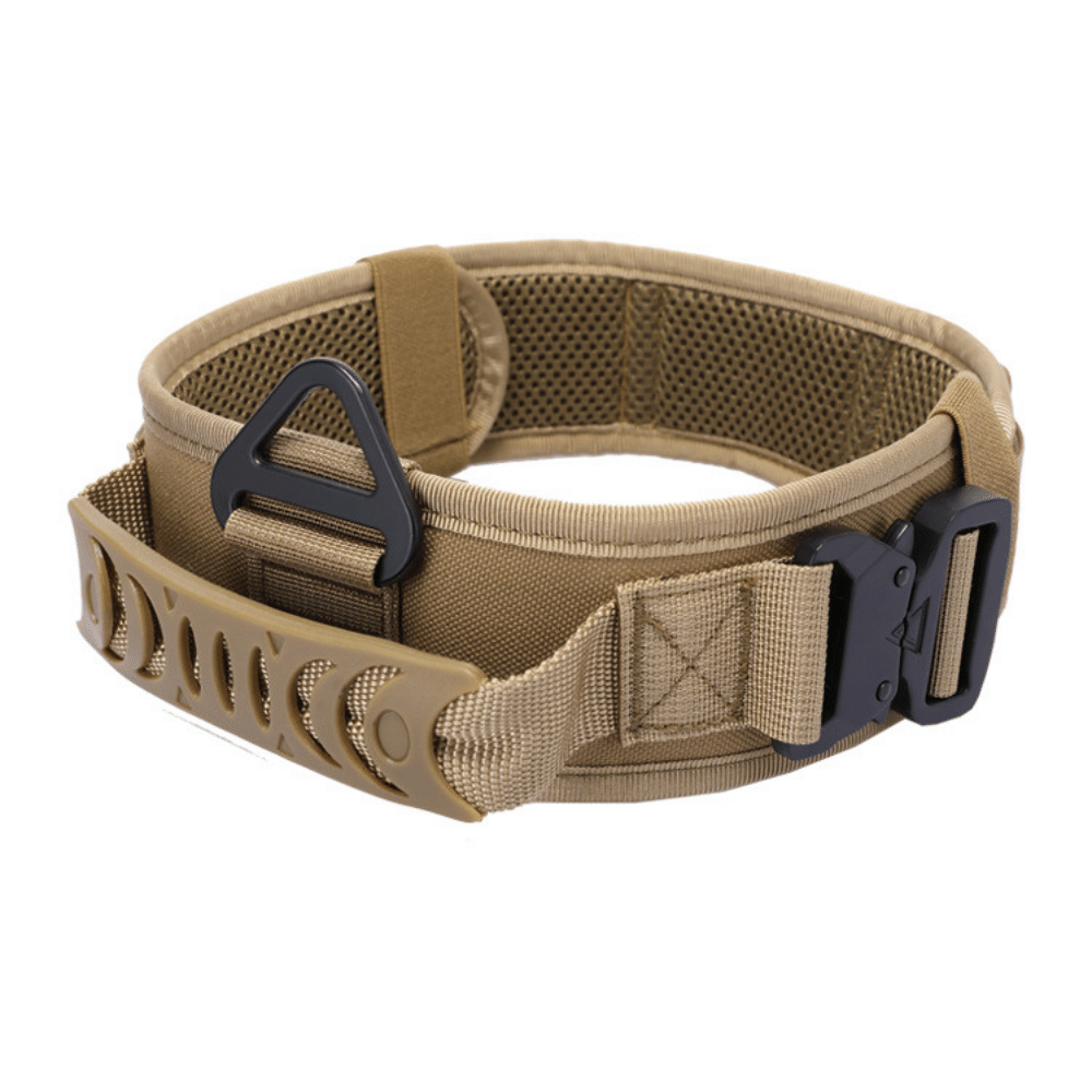 Quick Release Metal Buckle Outdoor Dog Walking Collar