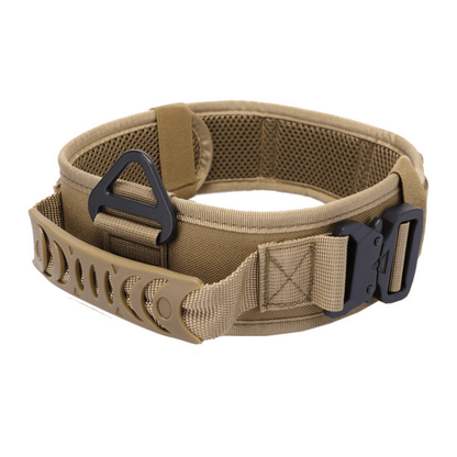 Quick Release Metal Buckle Outdoor Dog Walking Collar