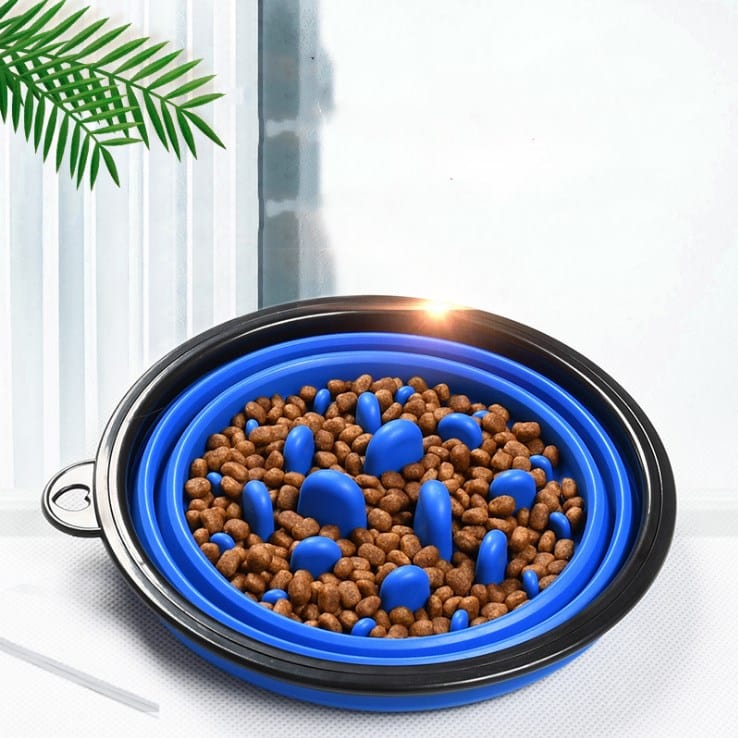 Collapsible Slow Feeder Dog Bowl