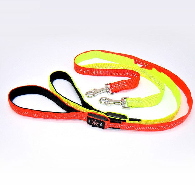 LED Rechargeable Dog Leash