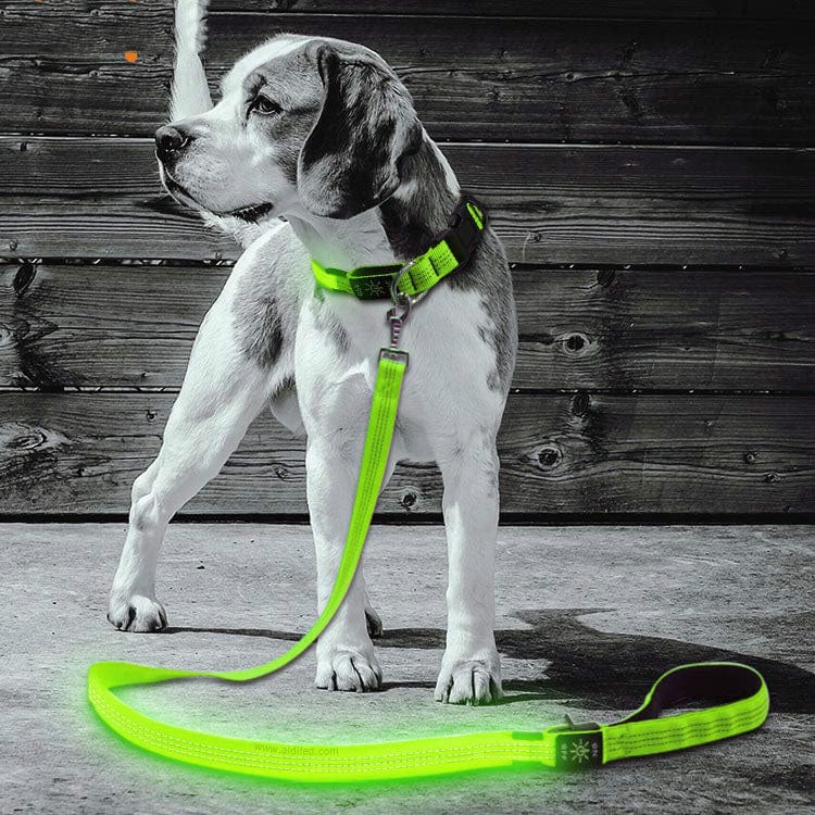 LED Rechargeable Dog Leash