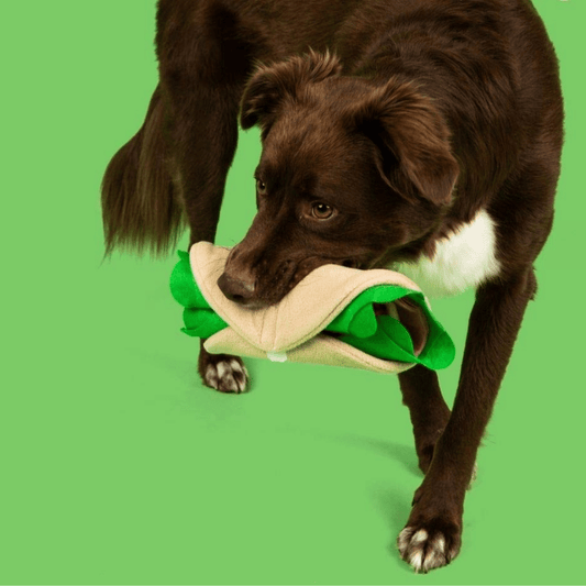 Pet Dog Snuffle Mat Pet Sniffing Training Toy Thin Burrito Design Blanket Fleece Pads Dog Mat Relieve Stress Dog Play Puzzle Toy