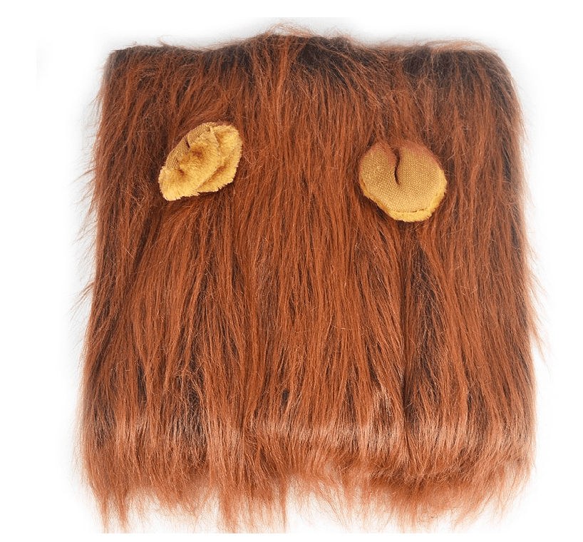Lion's Mane Dog Costume
