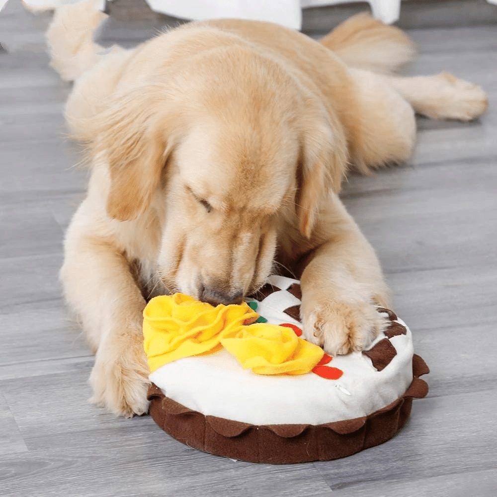 Birthday Cake Snuffle Mat Dog Toy