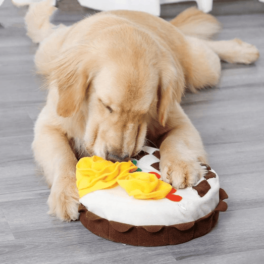 Birthday Cake Snuffle Mat Dog Toy