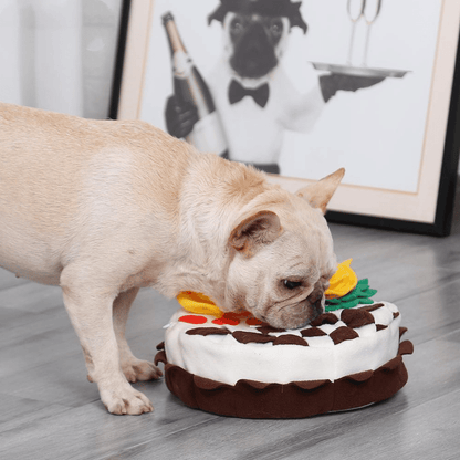 Birthday Cake Snuffle Mat Dog Toy