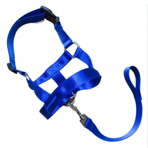 Handheld Leash Dog Muzzle