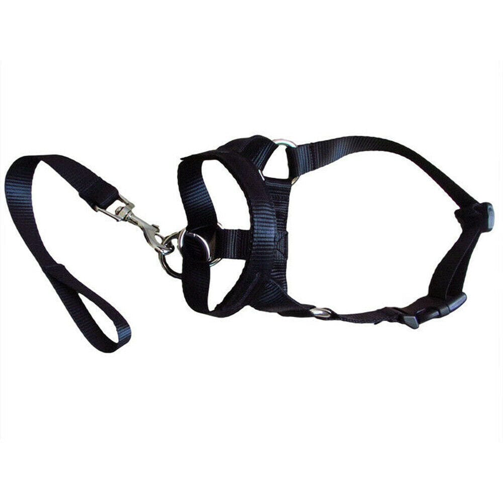Handheld Leash Dog Muzzle