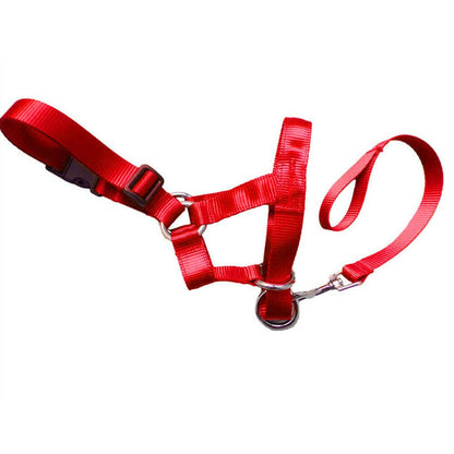 Handheld Leash Dog Muzzle