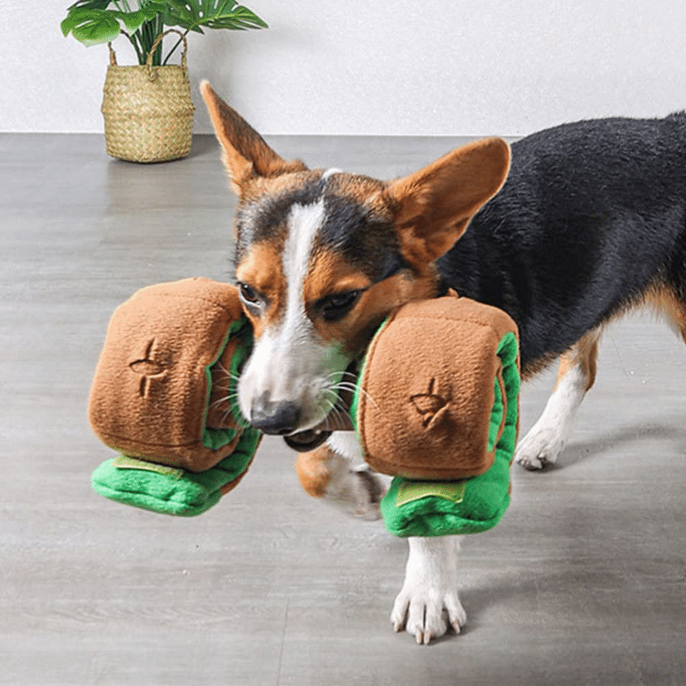 Plush Dumbbell Treat Snuffle Dog Toy