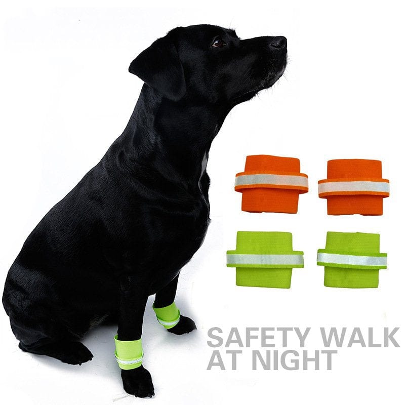 Fluorescent Reflective Dog Wristband