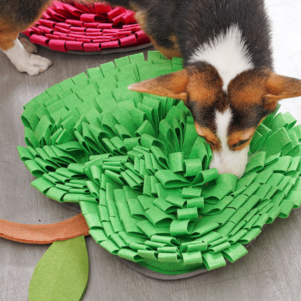 20in Apple Snuffle Mat