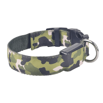 USB Rechargeable LED Flashing Nylon Dog Collar