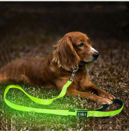 LED Rechargeable Dog Leash